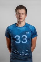 Bičanič Domen