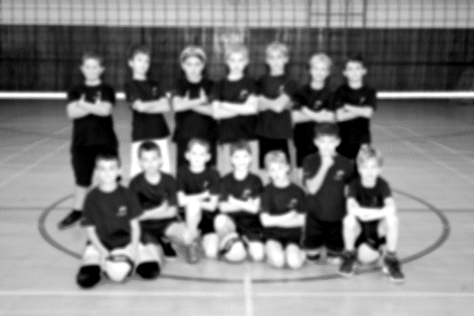 Ekipa 2026/27 Ekipa Calcit Volley, sezona 2026/27