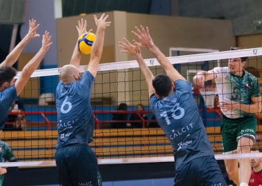 Calcit Volley vs Krka, 11.11.2023