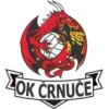 Črnuče