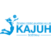 Kajuh Šoštanj